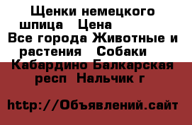 Щенки немецкого шпица › Цена ­ 20 000 - Все города Животные и растения » Собаки   . Кабардино-Балкарская респ.,Нальчик г.